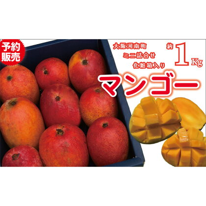 No.335 名もなきマンゴー　化粧箱詰合せ　ミニ約1kg ／ フルーツ 果物 ギフト 送料無料 大阪府