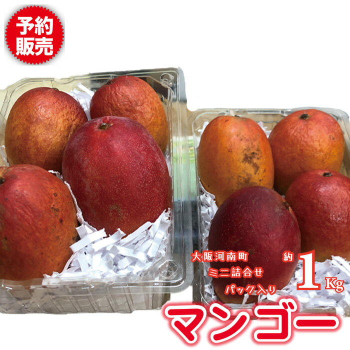 名もなきマンゴー パック詰合せ ミニ約1kg / フルーツ 果物 ギフト 送料無料 大阪府