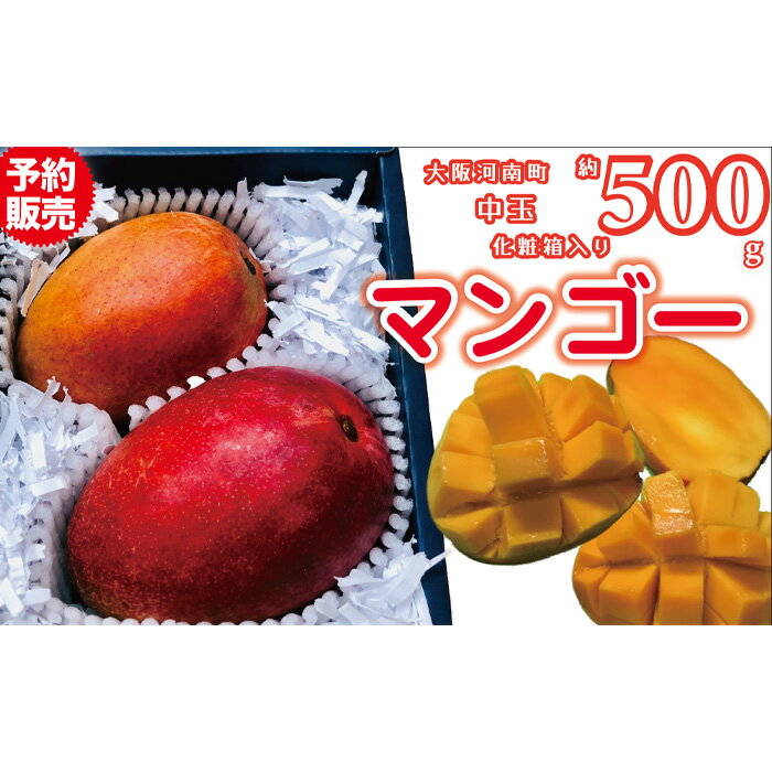 名もなきマンゴー 化粧箱詰合せ 中玉 約500g / フルーツ 果物 ギフト 送料無料 大阪府