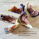 大阪府河南町の画像2