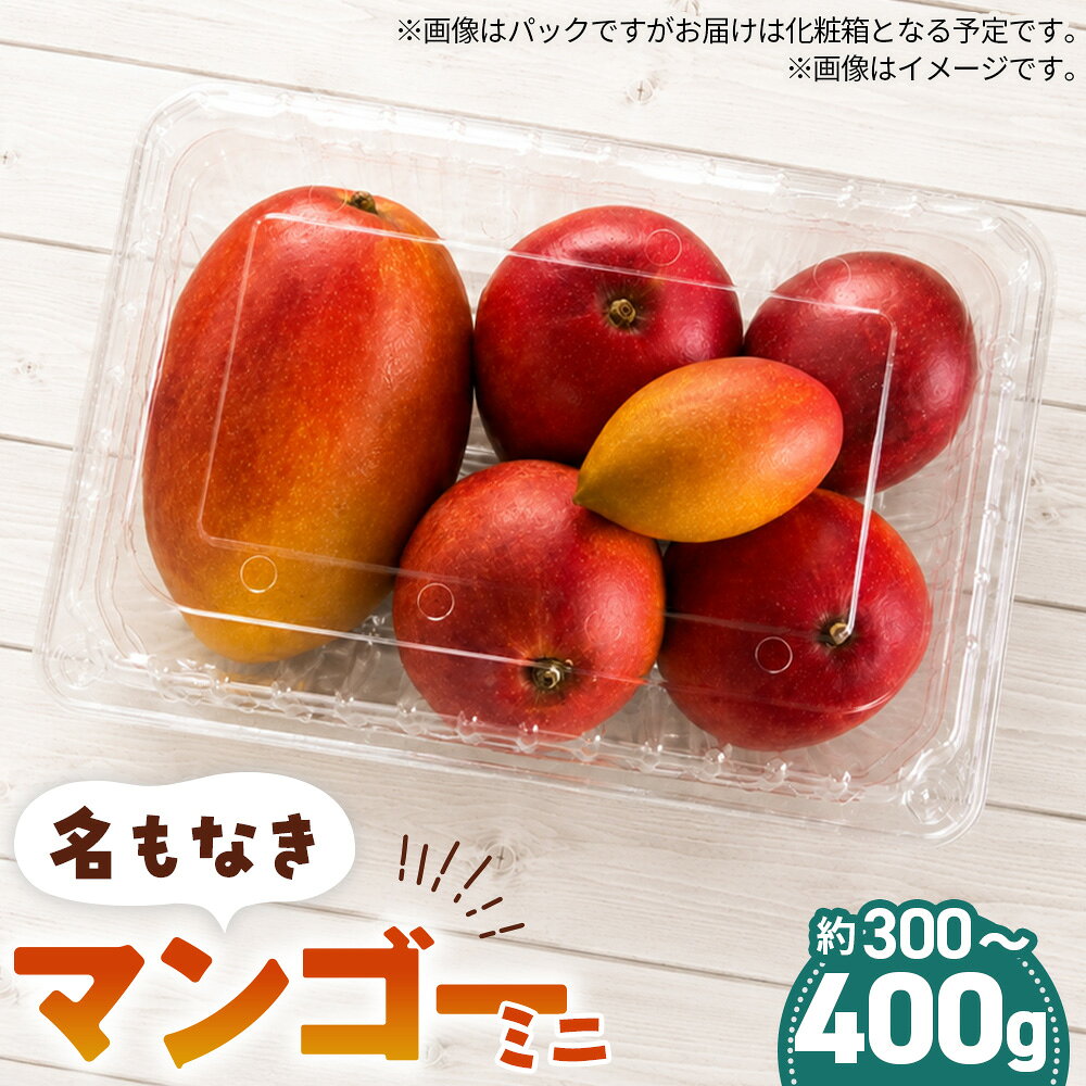【ふるさと納税】 名もなきマンゴー ミニ 詰め合わせ 約300～400g　大きさ不揃い ／ マンゴー 果物 国産 フルーツ 完熟 詰合せ 珍しい 満足 サイズ 小さい バラバラ 大阪府 No.369