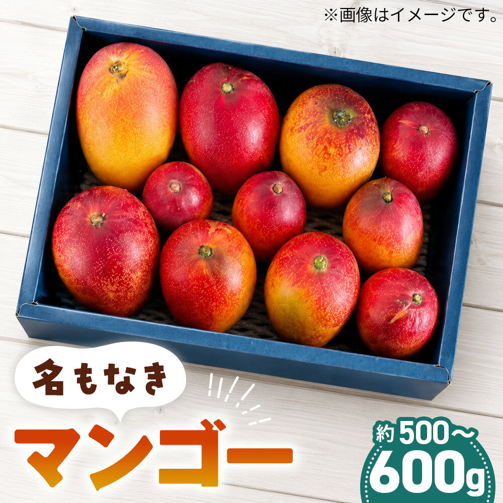 【ふるさと納税】 名もなきマンゴー 詰め合わせ 約500～600g　大きさ不揃い ／ マンゴー 果物 国産 フルーツ 完熟 詰合せ 珍しい 満足 サイズ バラバラ 大阪府 No.371