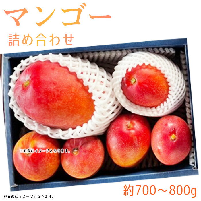 ڤդ뤵ǼǡNo.372̾ʤޥ󥴡ͤ碌700800g礭·ե롼ĲʪȢ­̵