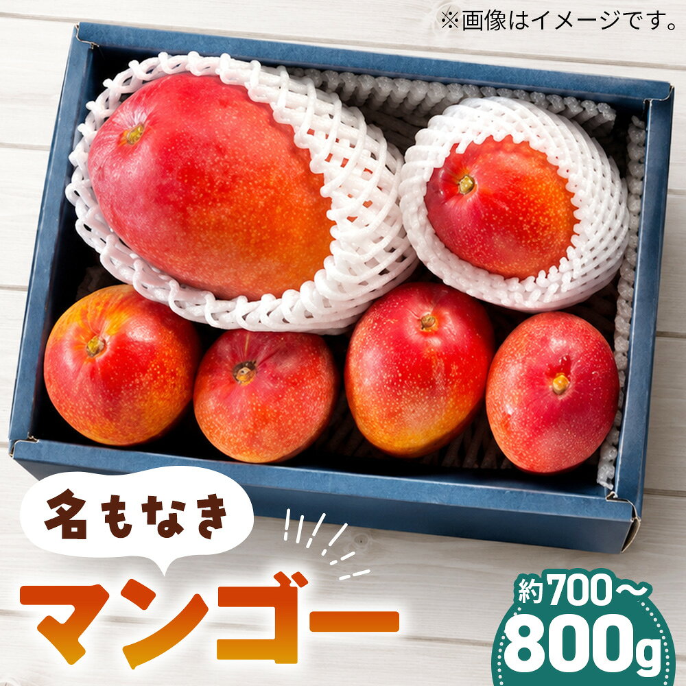 【ふるさと納税】 名もなきマンゴー 詰め合わせ 約700～800g　大きさ不揃い ／ マンゴー 果物 国産 フルーツ 完熟 詰合せ 珍しい 満足 サイズ バラバラ 大阪府 No.372