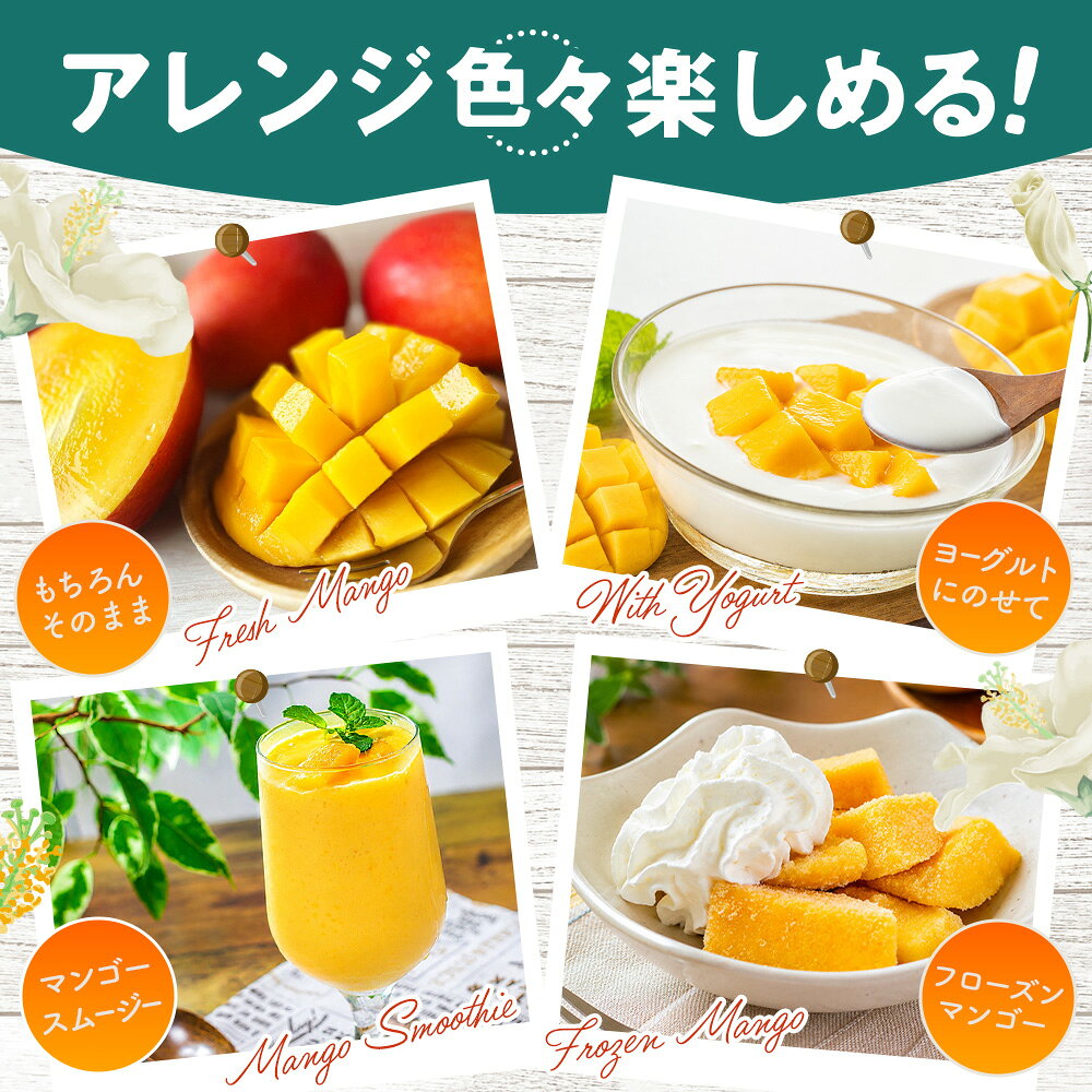 【ふるさと納税】 名もなきマンゴー 詰め合わせ 約900g～1kg　大きさ不揃い ／ マンゴー 果物 国産 フルーツ 完熟 詰合せ 珍しい 満足 サイズ バラバラ 大阪府 No.374
