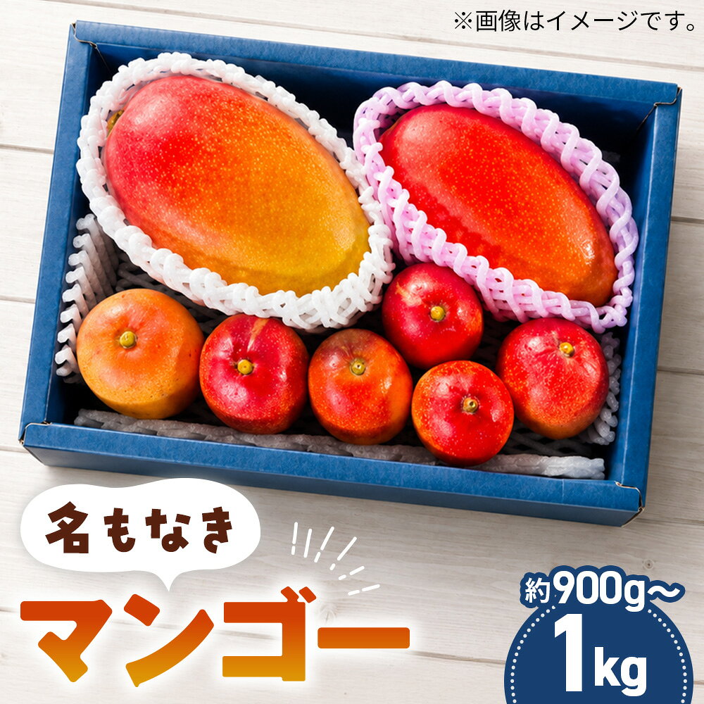 【ふるさと納税】 名もなきマンゴー 詰め合わせ 約900g～1kg　大きさ不揃い ／ マンゴー 果物 国産 フルーツ 完熟 詰合せ 珍しい 満足 サイズ バラバラ 大阪府 No.374
