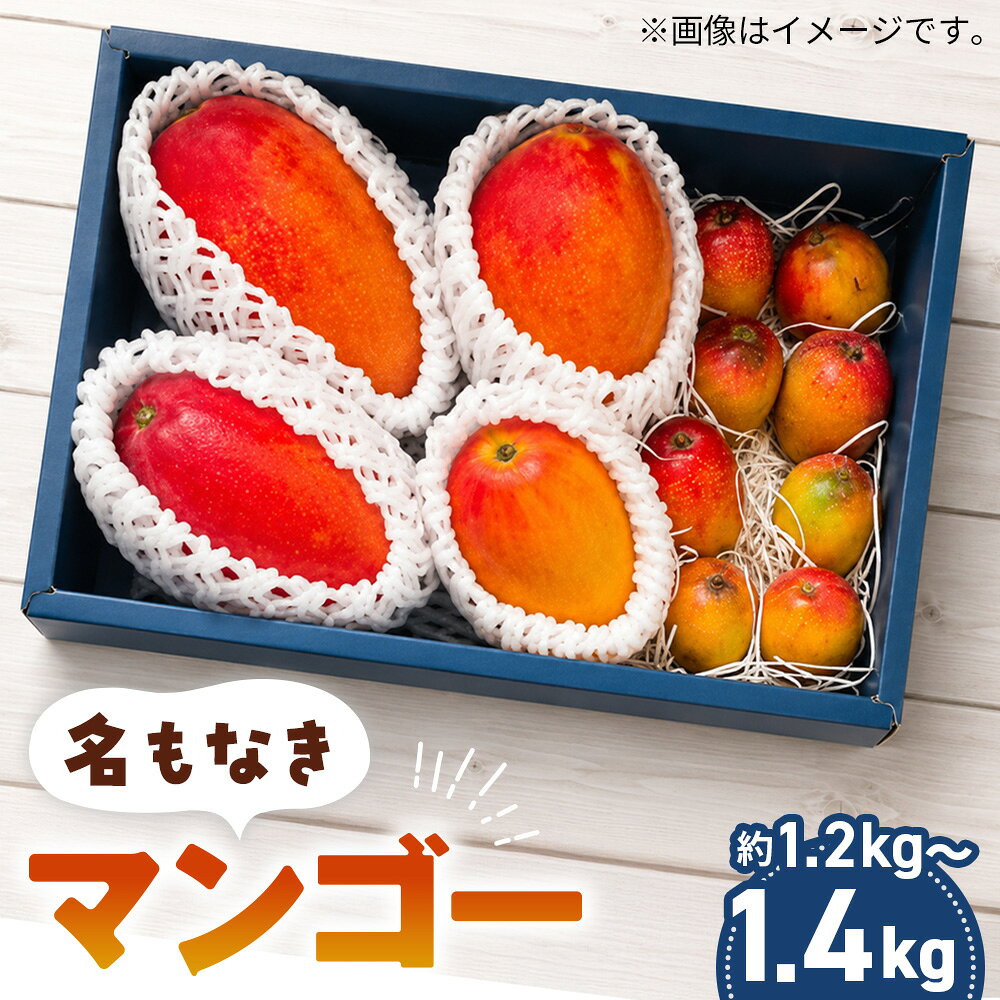 【ふるさと納税】 名もなきマンゴー 詰め合わせ 約1.2～1.4kg　大きさ不揃い ／ マンゴー 果物 国産 フルーツ 完熟 詰合せ 珍しい 満足 サイズ バラバラ 大阪府 No.375