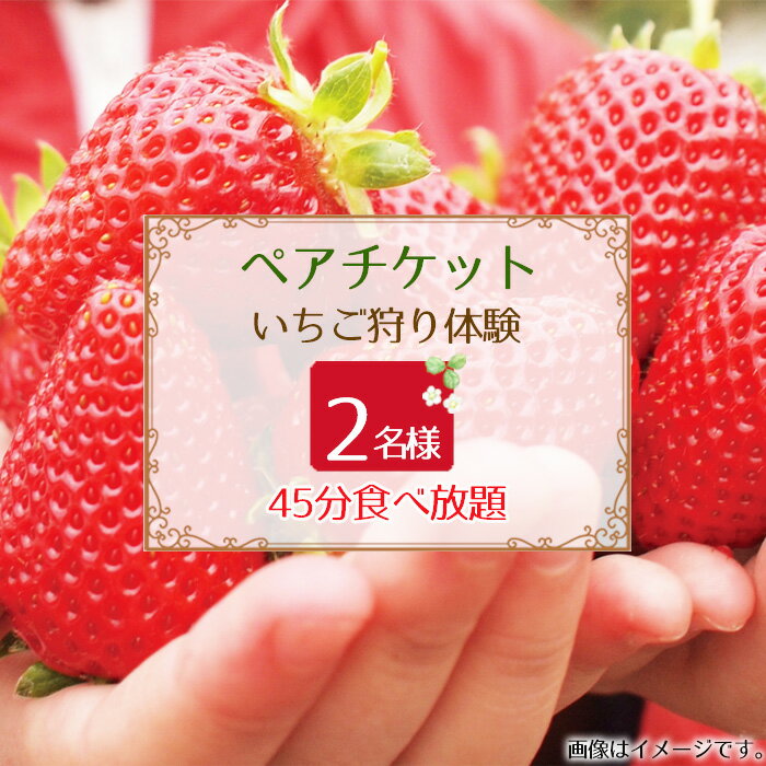 ڤդ뤵ǼǡNo.395ڥåȡ̣Ȥۤä᤭C٥꡼ʪե롼ķ̵