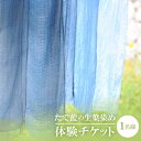 【ふるさと納税】たで藍の生葉染め 体験チケット 一名様【1273175】