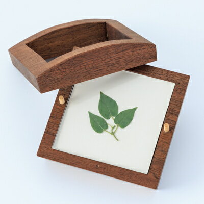 大阪府千早赤阪村の画像2