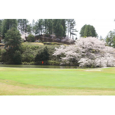 大阪府千早赤阪村の画像3