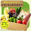 【ふるさと納税】【5種以上6〜7kg】金剛山の清水で育ったお米と旬食材セット詰合せ【配送不可地域:離島】【1539844】