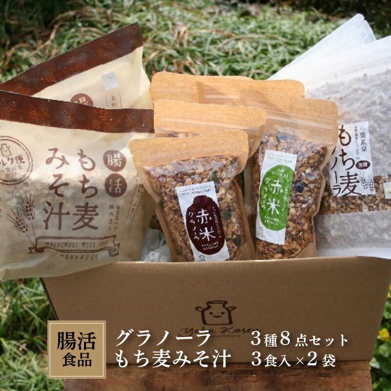 【ふるさと納税】腸活食品 グラノーラ3種8点セット+もち麦みそ汁3食入り×2袋 【 加工食品 健康食品 ヨーグルト おやつ 朝食 朝ごはん 軽食 間食 小腹 即...