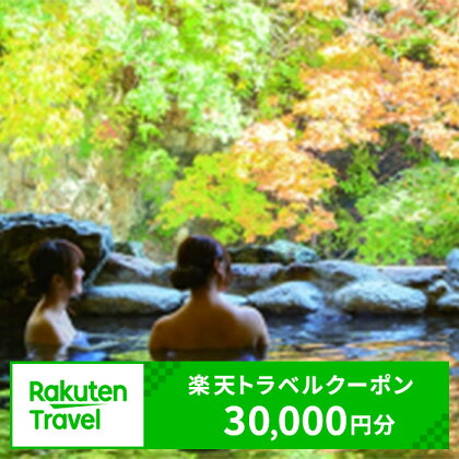 ふるさと納税　兵庫県の対象施設で使える 楽天トラベルクーポン 寄附額100,000円（30,000円クーポン）　【高級宿・宿泊券・旅行】