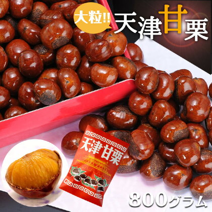 天津甘栗 800g　【 特選大粒栗 大粒 大粒栗 おやつ お菓子 スイーツ 栗スイーツ 栗好き 焼き栗 マロン こだわり製法 】　お届け：2024年5月31日まで