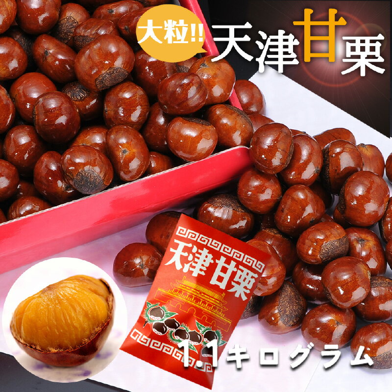 【ふるさと納税】天津甘栗 1.1kg　【 特選大粒栗 大粒 大粒栗 おやつ お菓子 スイーツ 栗スイーツ 栗好き 焼き栗 マロン こだわり製法 】　寄付受付：2024年6月15日まで