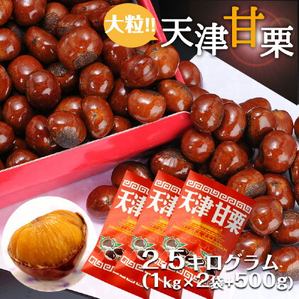 天津甘栗 2.5kg　【 特選大粒栗 大粒 大粒栗 おやつ お菓子 スイーツ 栗スイーツ 栗好き 焼き栗 マロン こだわり製法 】　お届け：2024年5月31日まで