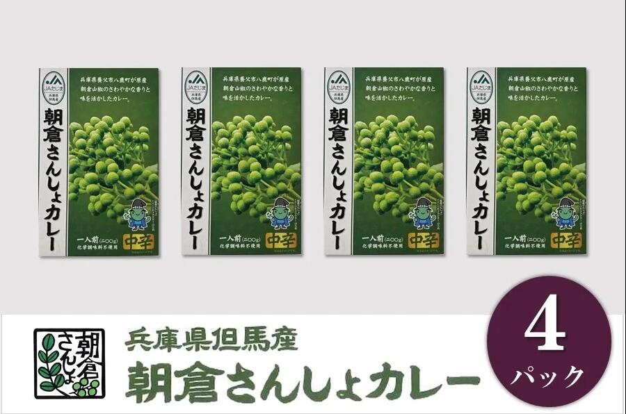 朝倉さんしょカレー（4パック）化学調味料不使用　【 カレー 山椒 惣菜 レトルト スパイス 辛味 伝統作物 】