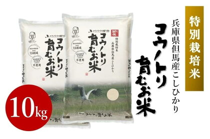 【特別栽培米】コウノトリ育むお米　令和5年度産　 10kg　【 お米 コシヒカリ コウノトリ育む米 こしひかり 白米 但馬 炊き立て 甘い 粘り ごはん もちもち 】