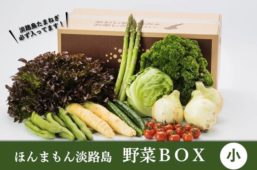 ほんまもん淡路島野菜BOX(小) [ 野菜 セット 詰合せ 旬のお野菜 新鮮 安全 出荷農家により異なる味 お楽しみ ]