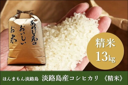 淡路島産コシヒカリ　精米13kg　【 お米 コシヒカリ 精米 ご飯 米 おかずに負けない存在感のお米 白米 】