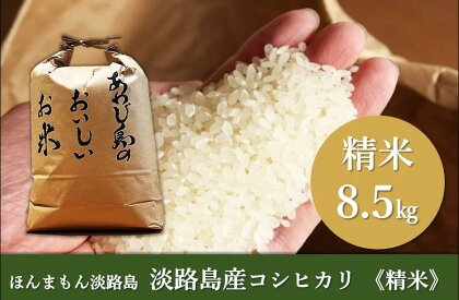 淡路島産コシヒカリ　精米8.5kg　【 お米 コシヒカリ 精米 ご飯 米 おかずに負けない存在感のお米 白米 】