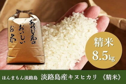 淡路島産キヌヒカリ　精米8.5kg　【 お米 ヒノヒカリ 精米 ご飯 粘り過ぎず バランスのよいお米 丼もの カレーライス に適した 米 】