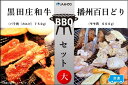 【ふるさと納税】黒田庄和牛&播州百日どり BBQセット(大)【冷凍】 【 お肉 牛肉 焼肉 バーベキュー BBQ 冷凍 カルビ 和牛 種類別 トレー 】