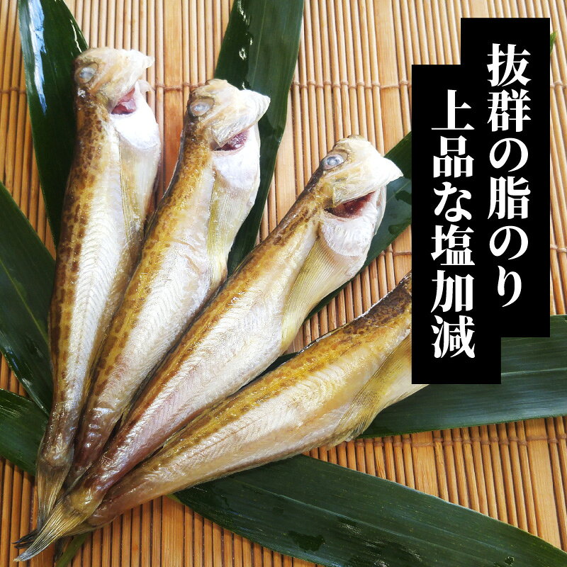 【ふるさと納税】山陰名産　ハタハタ一夜干し　500g【 ハタハタ 一夜干し 脂がのった 海鮮 海産物 海の幸 お酒のあて おつまみ 食材 グルメ 】 f280003-hyogo-10001031 兵庫県 サンプル画像2