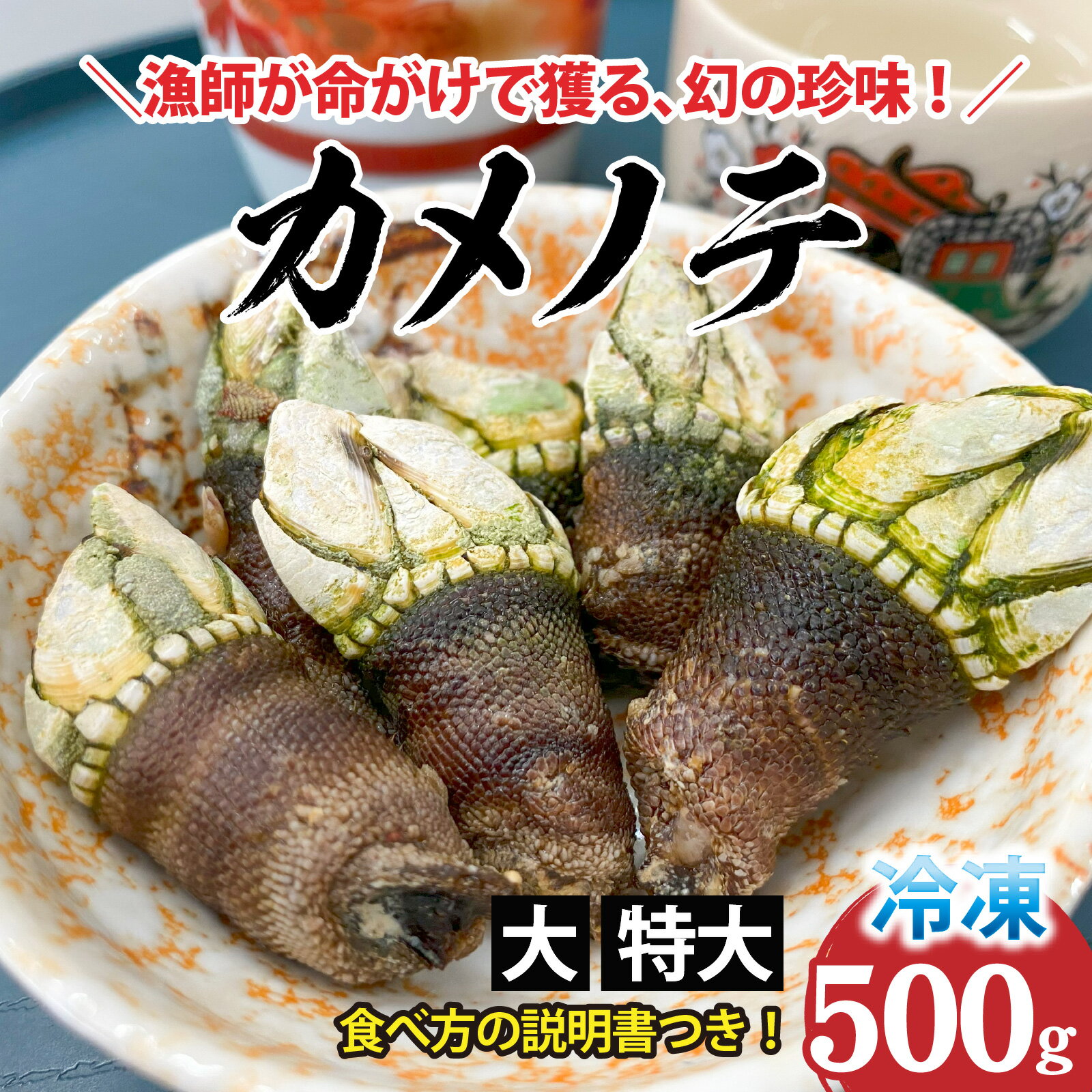 希少な大・特大サイズ 亀の手 冷凍 約500g / 珍味 かめのて ペルセベス 珍味 希少 出汁 味噌汁 みそ汁 吸い物 お吸い物 酒蒸し 塩茹で 説明書き付き レシピ 海鮮 冷凍 お取り寄せ 500g 大サイズ 新温泉町 兵庫県