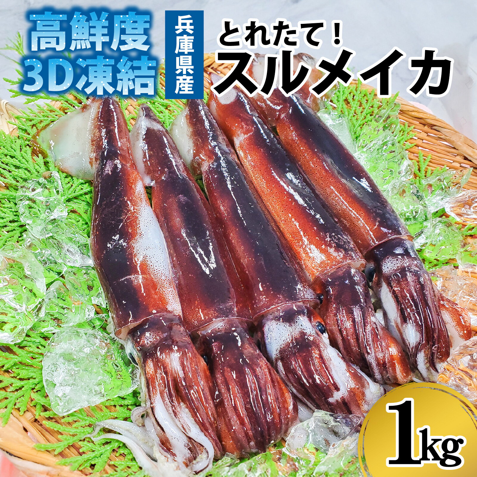 スルメイカ 冷凍 約1kg 5杯前後 / 産地直送 いか スルメイカ 1kg 5杯 魚介 海鮮 海の幸 新鮮 急速冷凍 冷凍 鮮度抜群 刺身 塩辛 イカフライ 煮物 姿焼き げそ イカゲソ いかめし イカ飯 イカ焼き イカの塩辛 いか天 兵庫県