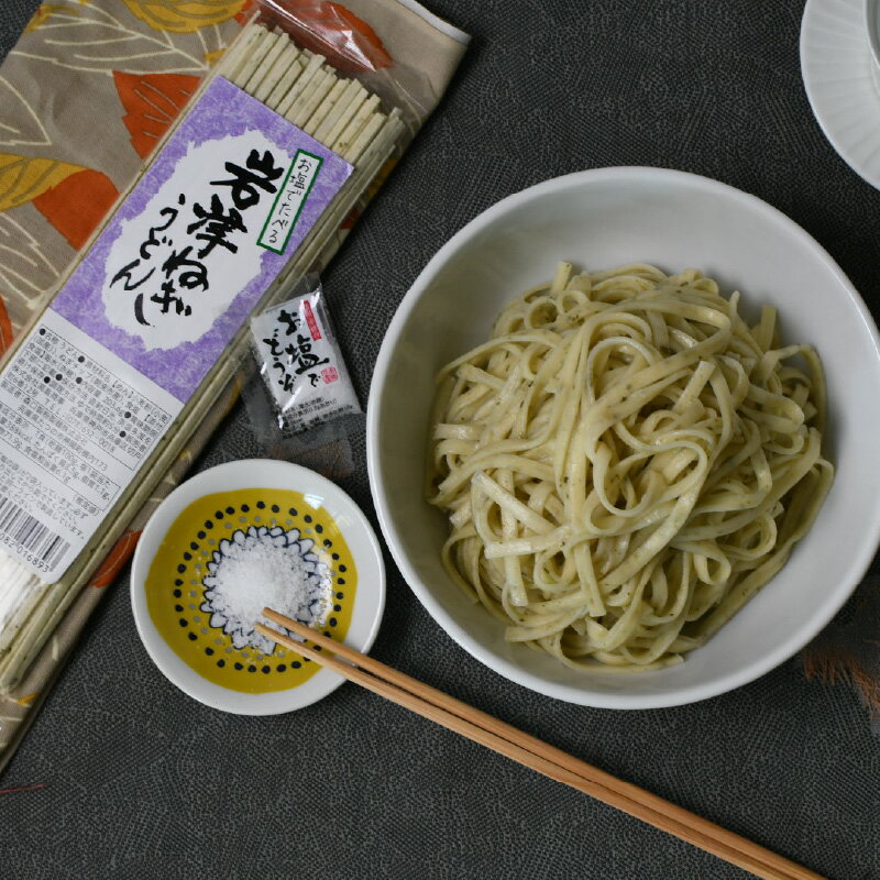 【ふるさと納税】お塩で食べる　岩津ねぎうどん　10袋セット　【 麺類 うどん 乾麺 ねぎうどん 10袋 赤穂の塩 岩津ねぎ お取り寄せ グルメ 】