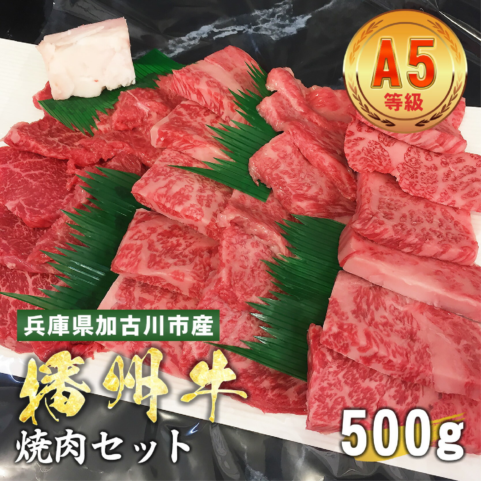 加古川市産 黒毛和牛(播州牛) 焼肉セット 500g[ 加古川市産 黒毛和牛 播州牛 焼肉 ロース モモ カルビ 牛肉 国産 贈答 送料無料 ]