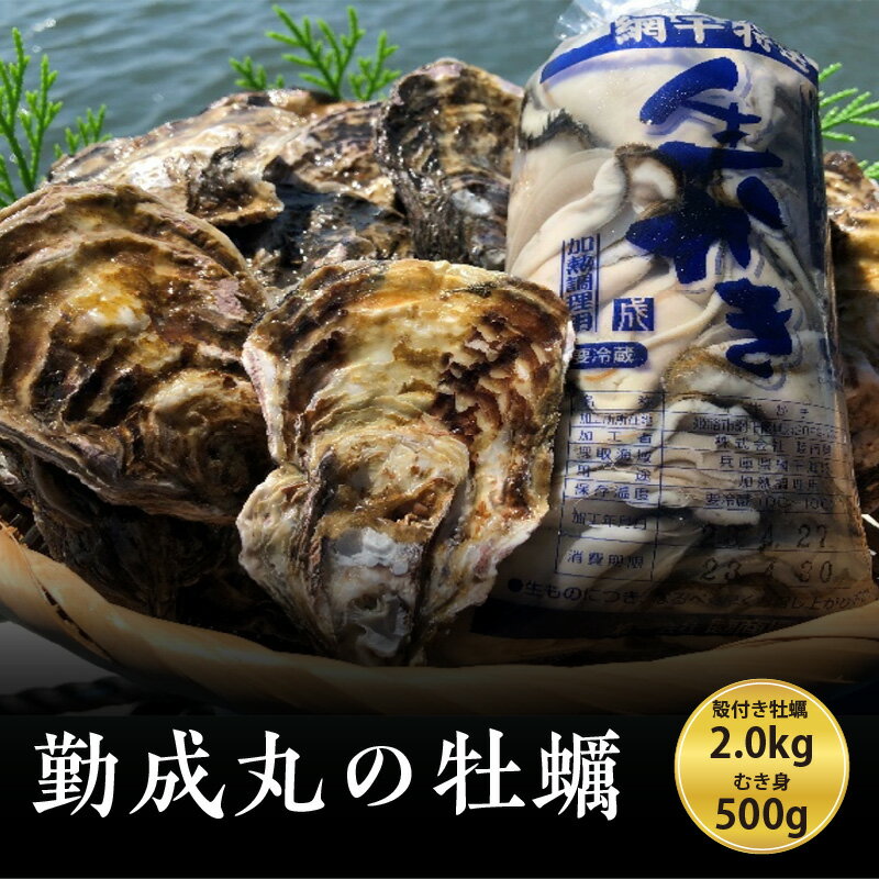 【ふるさと納税】勤成丸の牡蠣 殻付き牡蠣 2.0kgとむき身500gのセット【2024年12月以降出荷予定】　【 魚介類 生牡蠣 海鮮 海の幸 海のミルク 貝 殻付き生牡蠣 牡蠣のむき身 】　お届け：2024年12月下旬～2025年3月末まで