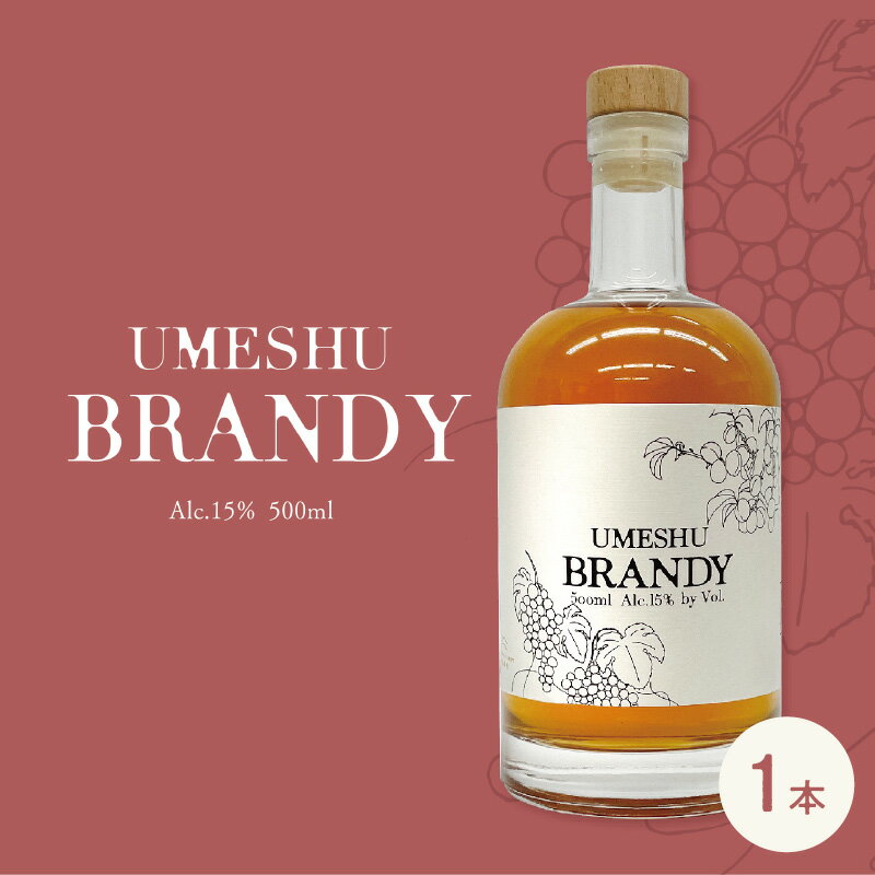 UMESHU BRANDY [ お酒 洋酒 神戸産ブドウ100%使用 ホワイトブランデー 梅酒ブレンド 香り高い コク 優しい甘味 深い味わい 梅酒ブランデー ]