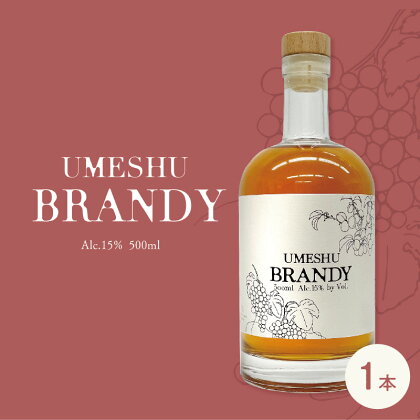 UMESHU BRANDY　【 お酒 洋酒 神戸産ブドウ100％使用 ホワイトブランデー 梅酒ブレンド 香り高い コク 優しい甘味 深い味わい 梅酒ブランデー 】