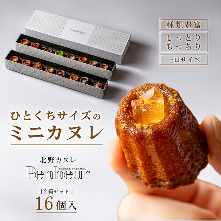 【ふるさと納税】【Penheur】北野カヌレ 16個入り / プノール カヌレ お菓子 洋菓子 焼き菓子 ギフト 手土産 ティーフレーバー アフタヌーンティー ...