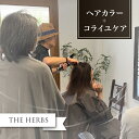 【ふるさと納税】ヘアカラー+コライユケア 【 ヘアダメージ 頭皮トラブル うねり 悩み 修復 保湿 ケア 】