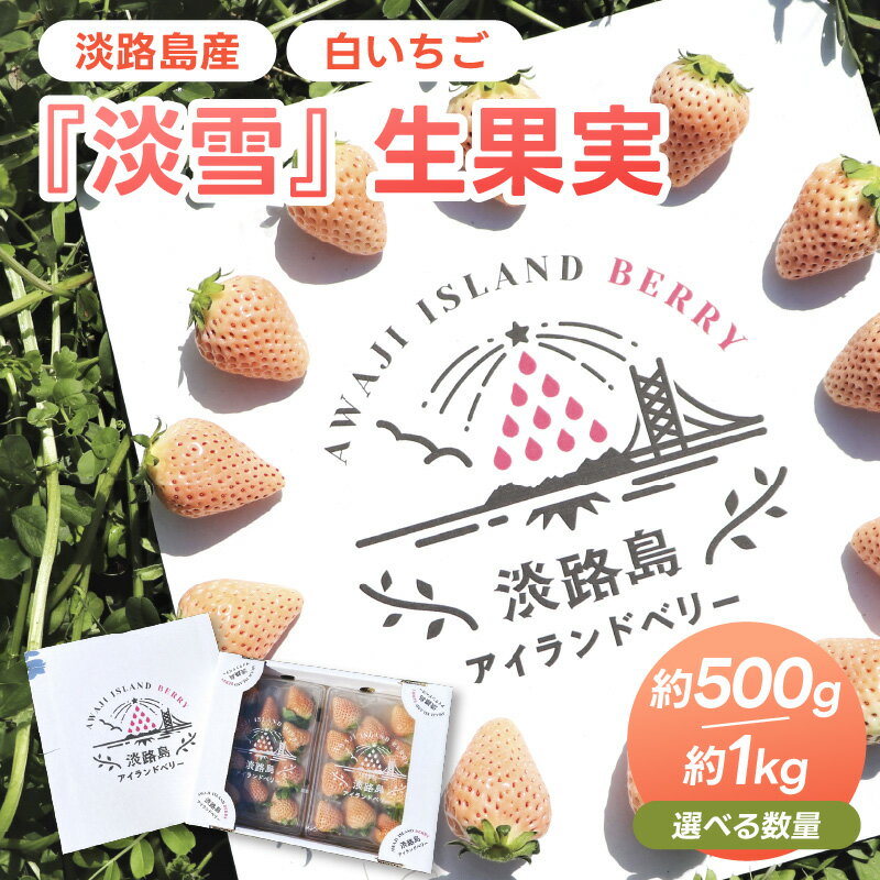 【ふるさと納税】【大玉】淡路島産白いちご 『淡雪』 選べる生果実 500g・1kg【 いちご 白いちご 淡路産 淡雪 完熟 甘い 高い糖度 果物 フルーツ 国産 送料無料 】