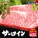 【ふるさと納税】【レビューキャンペーン】黒毛和牛 サーロインステーキ 400g / A5等級 サーロイン ステーキ ステーキ肉 和牛 牛肉 ビーフ 国産 ジュー...