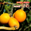 【ふるさと納税】【先行予約/数量限定】 びわ 兵庫県産 1kg 小分け 500g 2パック【 果物 フルーツ 枇杷 びわ 人気 送料無料 期間限定 数量限定 中...