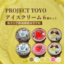 【ふるさと納税】PROJECT TOYO アイスクリーム 6個 セット 東洋大学附属姫路高等学校【 アイス アイスクリーム 詰め合わせ セット 苺 チョコ 紅茶...