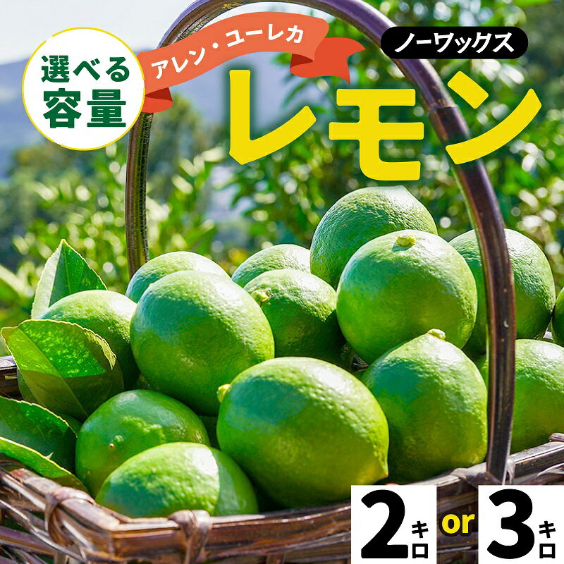 【ふるさと納税】 【期間限定】 淡路島産 アレン・ユーレカレモン 2kg / 3kg 国産レモン 淡路島 瀬戸内..