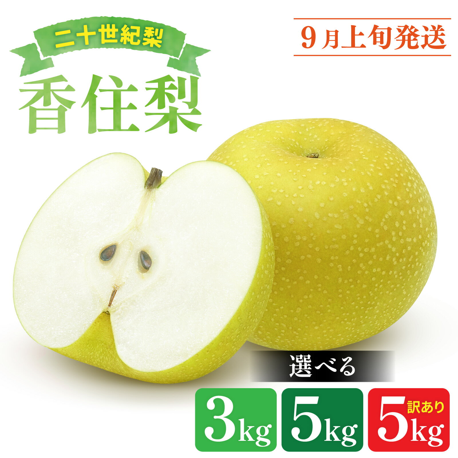 [ 先行予約/数量限定 ] 兵庫県産 香住梨 二十世紀 [選べる]3kg / 5kg / 訳あり5kg[ 梨 なし ナシ 二十世紀梨 フルーツ 果物 訳アリ 産地直送 みずみずしい 送料無料 期間限定 数量限定 香美町 ]