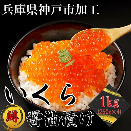 鱒いくら醤油漬け 1kg（250g×4） | いくら イクラ 鱒 鱒卵 魚卵 マス ます 醤油漬け 醤油 しょうゆ漬け