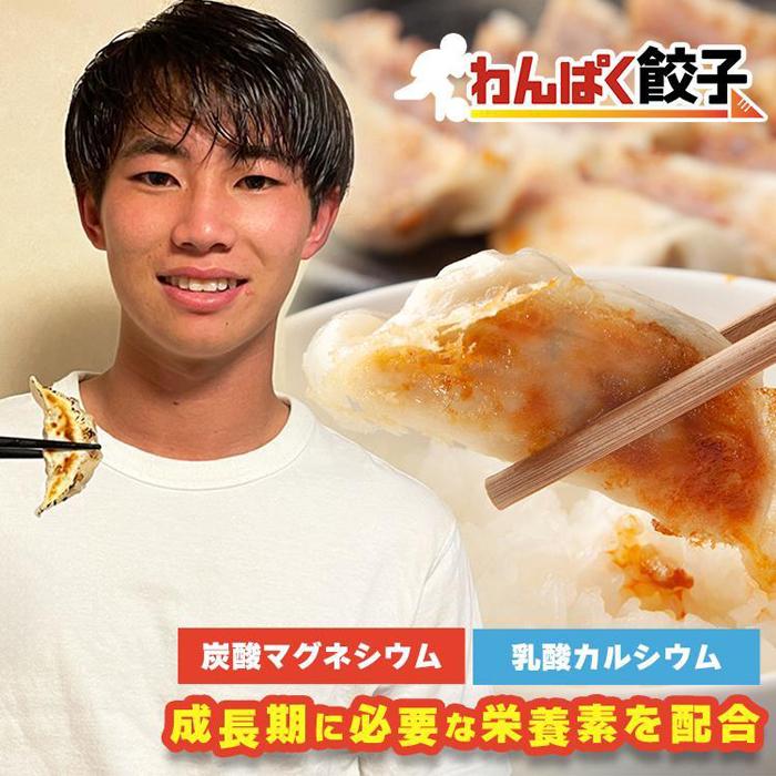 【ふるさと納税】神戸餃子楼 わんぱく餃子(100個入) | 食品 おかず 加工食品 中華総菜 人気 おすすめ 送料無料