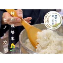 【ふるさと納税】特別栽培米　神戸のまごころ　ヒノヒカリ 精米 5kg