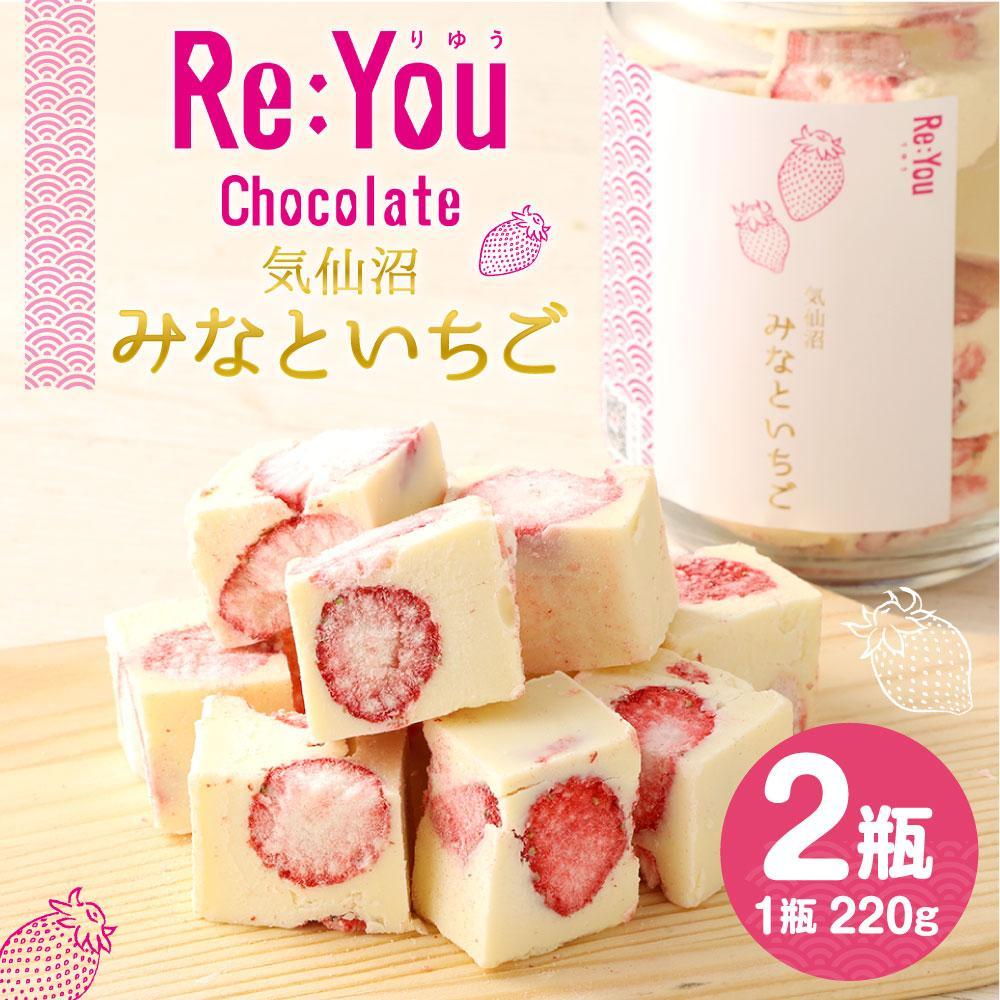 【ふるさと納税】ふぞろいごろごろ 「Re:Youみなといちご」（220g入りチョコレート×2）