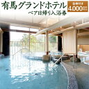 【ふるさと納税】有馬グランドホテル ペア日帰り入浴券≪金券付き≫