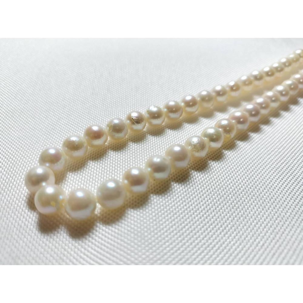 【ふるさと納税】アコヤ真珠 素材 連 7.5-8mm | 小物 ファッション 人気 おすすめ 送料無料